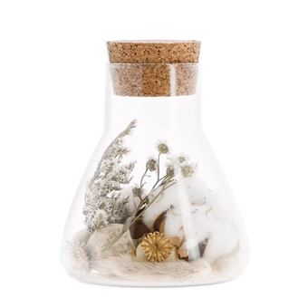 Fiole en verre Fleurs sches et coton - Plantes graines et bulbes - Achat  & prix | fnac