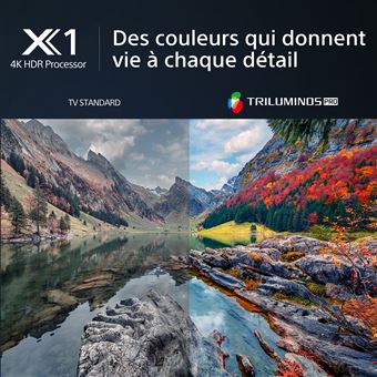 TV LED Sony KD-85X80L Série Bravia X80L 215 cm 4K UHD Google TV 2023 Noir