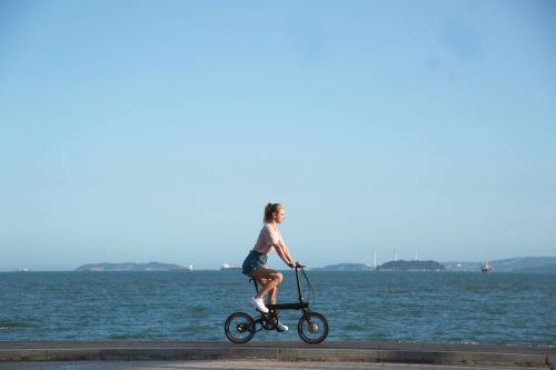 Vélo assistance électrique Xiaomi Mi Smart Pliable 250 W Noir