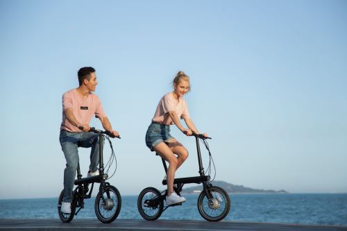 Vélo assistance électrique Xiaomi Mi Smart Pliable 250 W Noir