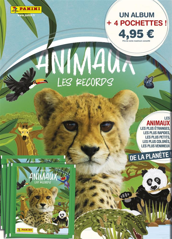 Classeur Pour Cartes Pokémon - 30 Pages, 4 Pochets Par Page, Capacité 240 Cartes - Album De Collection Durable