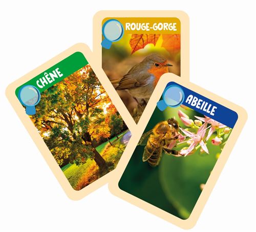 Clementoni Les Apprentis Explorateurs - Coffret Aventures Nature Pour Enfants Dès 5 Ans Coffret Clementoni Apprentis Explorateurs Nature Clementoni Les Apprentis Explorateurs - Coffret Aventures Nature Pour Enfants Dès 5 Ans Coffret Clementoni Apprentis Explorateurs Nature