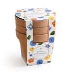 Fleurs comestibles à faire pousser