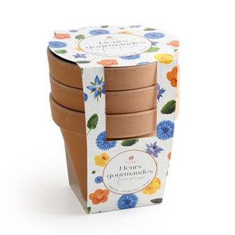 Fleurs comestibles à faire pousser