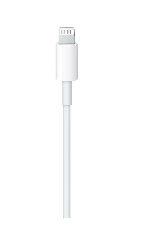 Câble Apple USB-C vers Lightning 1 m Blanc - Câble téléphone portable