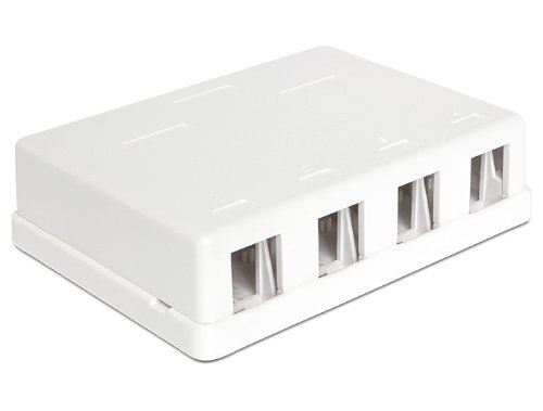 Delock Keystone Videboîte 4 Port - Sadapte -Keystone 86208 - Image 3