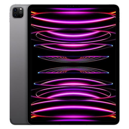 Apple iPad Pro 12,9" Puce Apple M2 128 Go Gris Sidéral Wi-Fi 6ème génération Fin 2022 Reconditionné