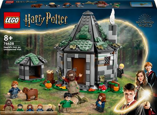 La cabane de Hagrid : une visite inattendue