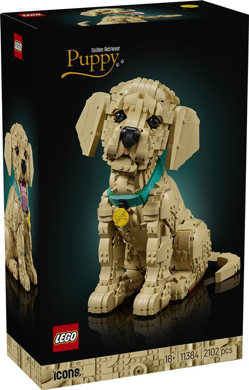 Le chiot Golden Retriever