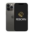Apple iPhone 13 Pro 6.1" 5G 256 Go Double SIM Graphite Reconditionné Grade A Reborn