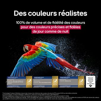 OLED97G5 OLED evo Noir Profond + support mural inclus 120Hz 4K 245cm IA 2025