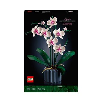 LEGO Iconnes Orchidée Artificielle Plante, Ensemble Maroc
