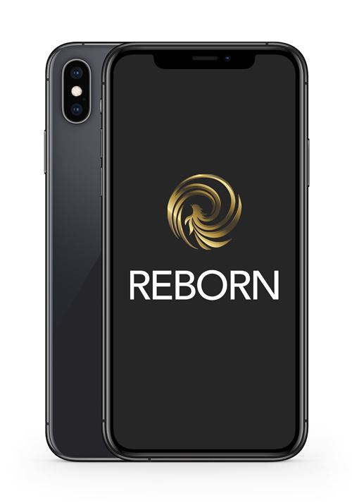 Apple iPhone XS 5,8 64 Go Nano SIM Gris Sidéral Reconditionné Grade A Reborn