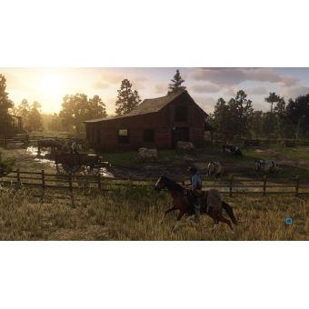 Red Dead Redemption 2 Sony Ps4 Pal France Avec Carte