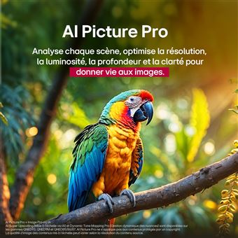 75QNED87 QNED Dalle extra fine 120Hz 4K 190cm IA 2025