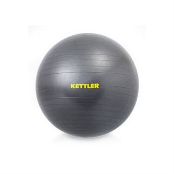 Gym Ball Kettler Basic 65 cm Gris