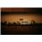 Enceinte Bluetooth Marshall Acton II Blanc_12