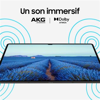 Samsung - Galaxy Tab S9 Ultra - 12/512Go - WiFi - Anthracite