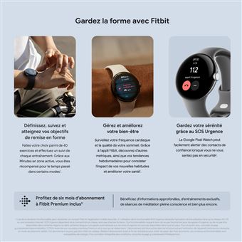 Montre connectée Google Pixel Watch LTE Argent avec bracelet sport Galet