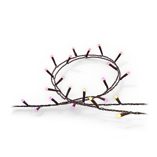 Guirlande lumineuse Philips Hue Festavia White et Color Ambiance 500 LED Noir