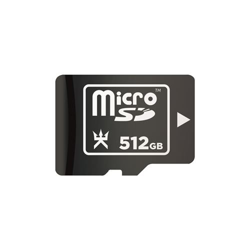 Carte mémoire Micro SD 512 Go pour Nintendo Switch Alpha Omega Players Noir