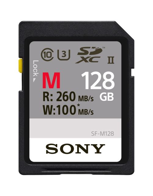 Carte mémoire Sony SDXC 128 Go UHS-II