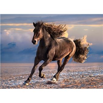 Puzzle 1000 pièces Clementoni High Quality Free Horse