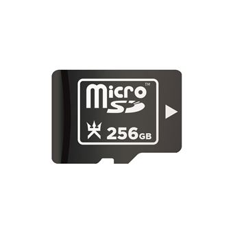 Carte mémoire Micro SD 256 Go pour Nintendo Switch Alpha Omega Players Noir