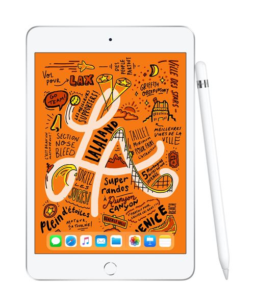 iPad Mini 64 Go WiFi + 4G Gris sidéral 7.9