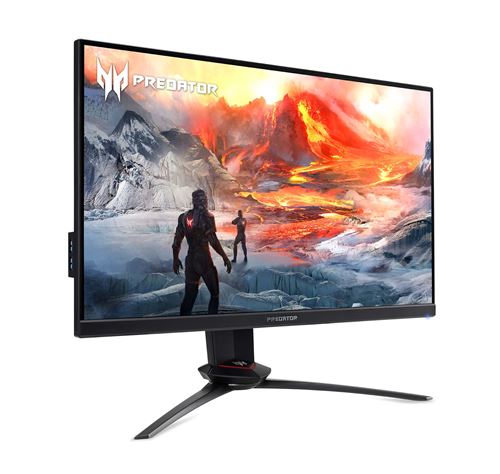 asus predator monitor