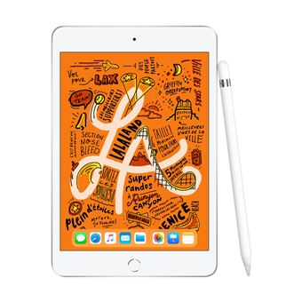 iPad mini 5 Wi-Fi de 64 Go remis à neuf - Argent - Éducation - Apple (CA)