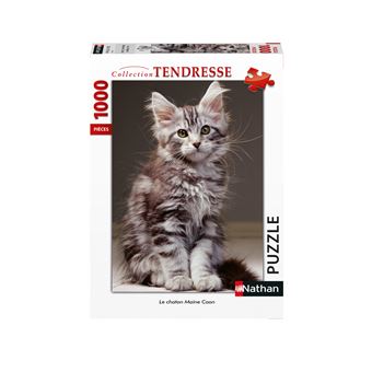 Puzzle 1000 pièces Nathan Le chaton Maine Coon