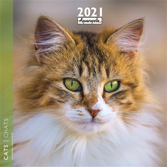 Calendrier Aquarupella Chats 2021 30 x 30 cm