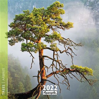 Calendrier Pictura 2022 Arbres 30 x 30 cm