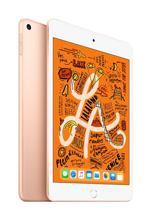 iPad Mini 64 Go WiFi Or 7.9" 5 ème génération Début 2019
