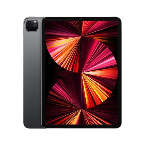 Apple iPad Pro 11'' Puce Apple M1 256 Go Gris sidéral Wifi 3ème Génération Fin 2021 Reconditionné par Flex IT