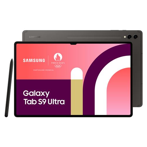 Wilfind - Galaxy Tab S9 Ultra, 256 Gb, Anthracite, 14.6 \