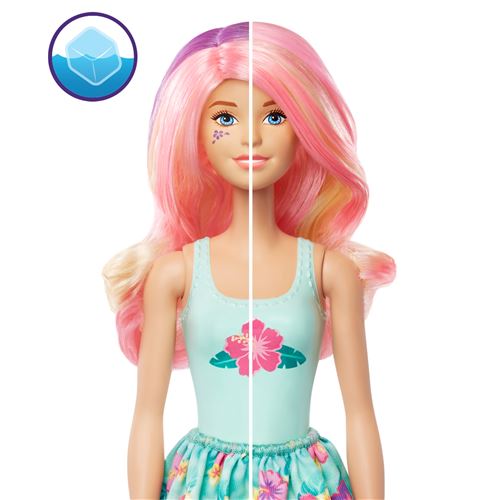 Poupée Barbie Color Reveal Nature Modèle aléatoire Poupée