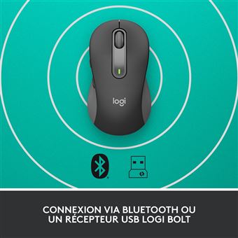 Souris sans fil Logitech Signature M650 Gris graphite