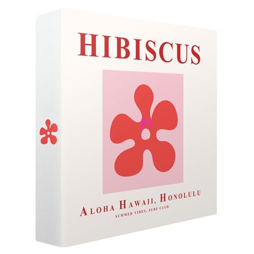 HIBISCUS - vue 2