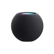 Enceinte Apple HomePod mini Gris sidéral