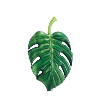 Bouée Intex Feuille Tropicale