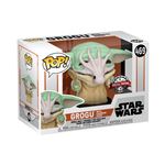 Figurine Funko Pop Star Wars Mandalorian Child Soup Creature Avant-première Fnac