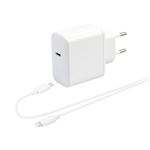 Chargeur secteur 30w + cable lightning 1m