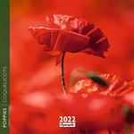 Calendrier Pictura 2022 Coquelicots 16 x 16 cm