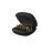 Ecouteurs sans fil True Wireless Beats Powerbeats Pro Vert Bouteille_3