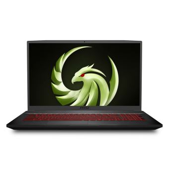 PC Portable Gaming MSI Bravo 17 A4DDR-069FR 17,3" AMD Ryzen 5 16 Go RAM 512 Go SSD Noir - 1