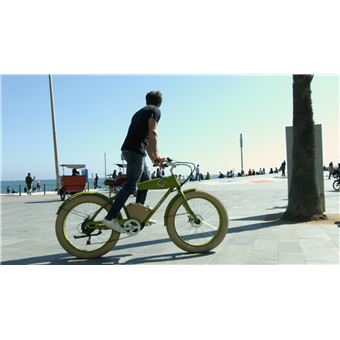 Vélo électrique Rayvolt Beachin V2 250 W Vert batterie non incluse