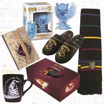 Coffret Wootbox Harry Potter Poudlard 2021