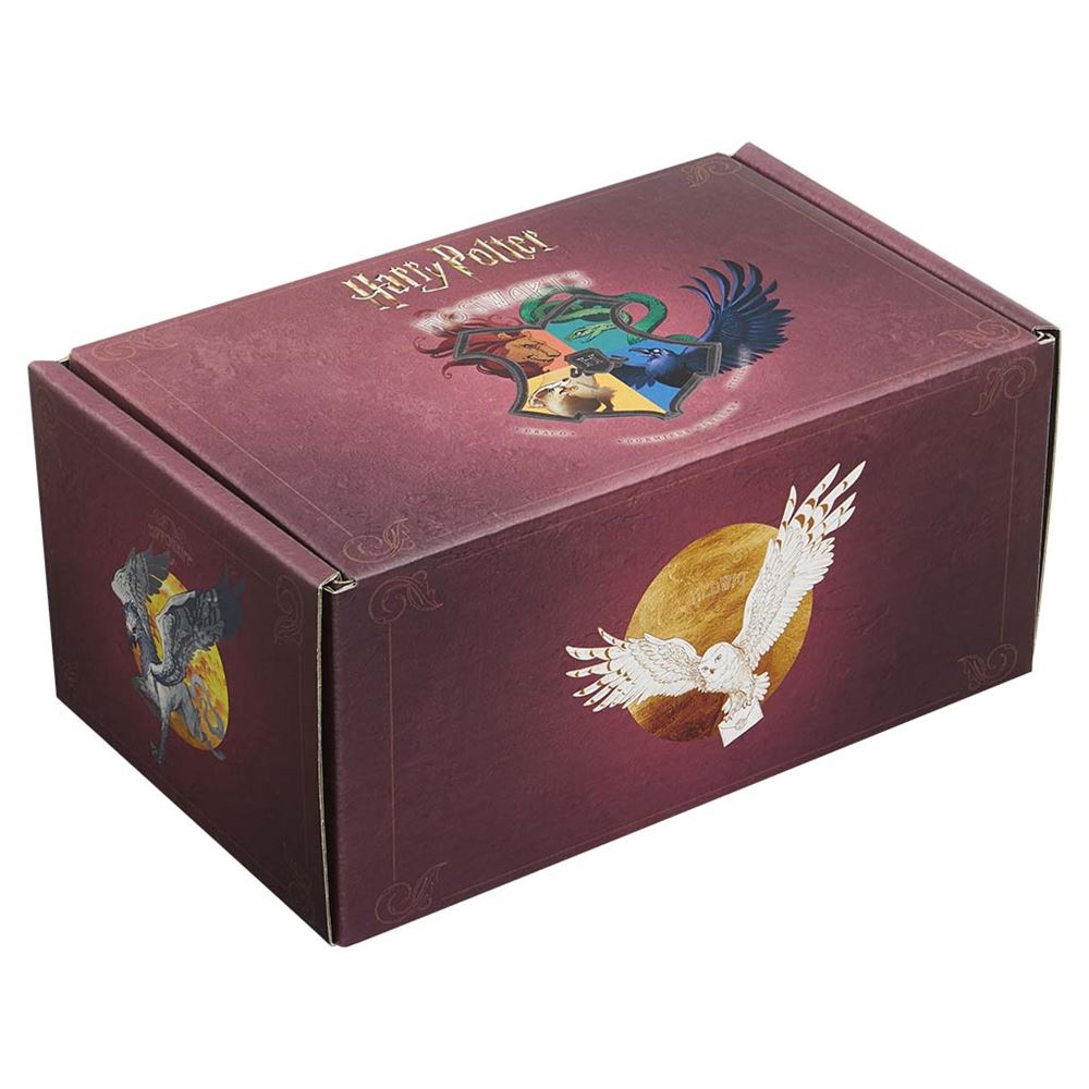 Wootbox Coffret Box cadeau M Harry Potter pas cher 